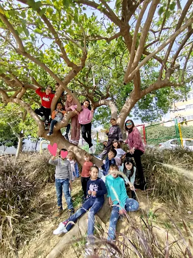 Campamentos